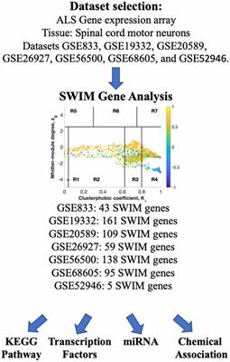 Key Disease Mechanisms Linked to Amyotrophic Lateral Sclerosis in Spinal Cord Motor Neurons